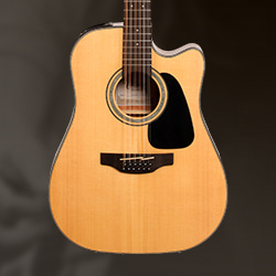 All Star Gear Acoustic Guitars from Martin Taylor More zZounds