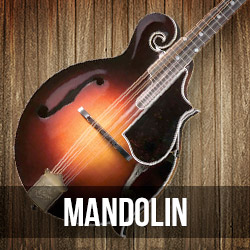 Gibson Mandolins