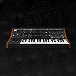 Moog Subsequent 37 Analog Synthesizer Keyboard