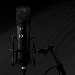 Warm Audio WA87 R2 FET Large-Diaphragm Condenser Microphone