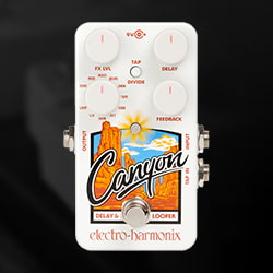 Electro-Harmonix Canyon Delay and Looper Pedal