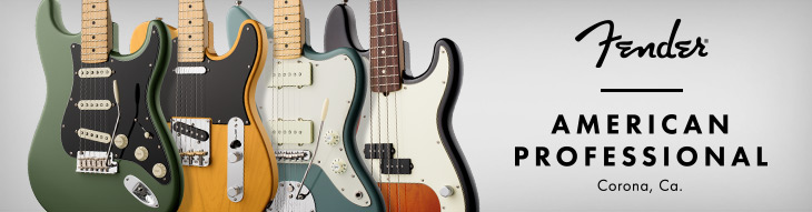 Fender American Professional Series