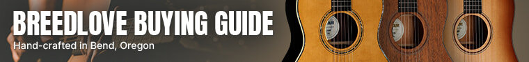 Breedlove buying guide
