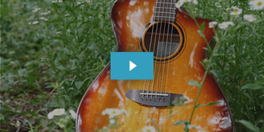 Featured Video: Breedlove ECO Pursuit Exotic S Demo. Watch Now
